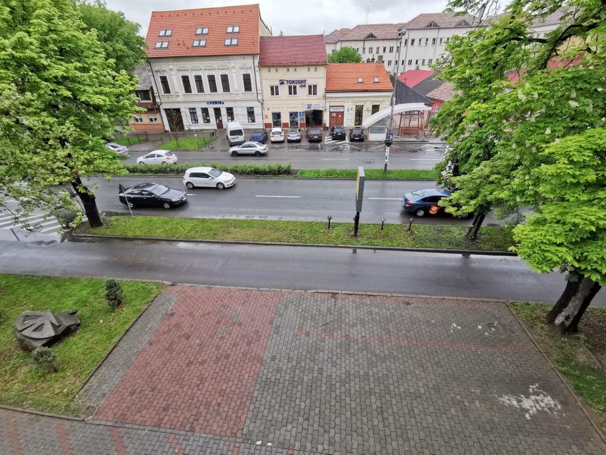 Pensiunea Stefan Bistriţa المظهر الخارجي الصورة